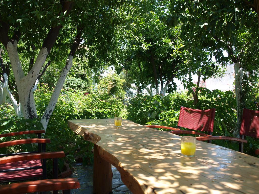 Εlegant Villa Liakos Pigí Exteriör bild